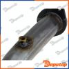 Filtres à Particules Diesel EURO5 pour FORD | DPF-FR-007, 73152